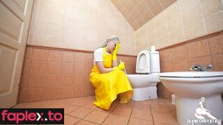 The Toilet Cleaning Lady Diane Chrystall