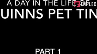 Giantess EditZ - Giantess Quinn Quinns Pet Part 1