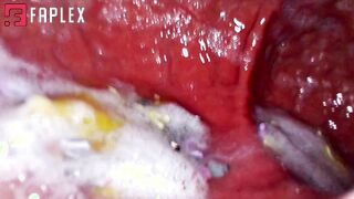 Katie The Giantess - Toy's In Giantess's Mouth