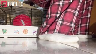 Miss Nicole - Barefoot Toys Trampling