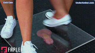 Under Amber - Goddess Amber - Miss Lucy - Flattening Your Cock & Balls Under Our White Pumps & Plexiglass - 182 Cock Cam - Trample Trampling Cbt Ballbusting Crushing Crush Trainers Fetish (Cock Trampling Fetish)
