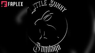 LittleBunnyB 
