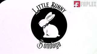 BunnyB 